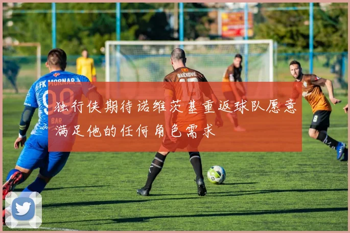 独行侠期待诺维茨基重返球队愿意满足他的任何角色需求