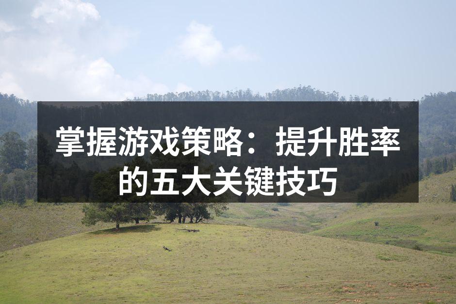 游戏策略解析